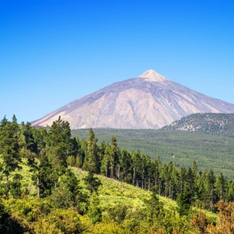 tourhub | Brightwater Holidays | Glorious Gardens of the Canary Islands 715 