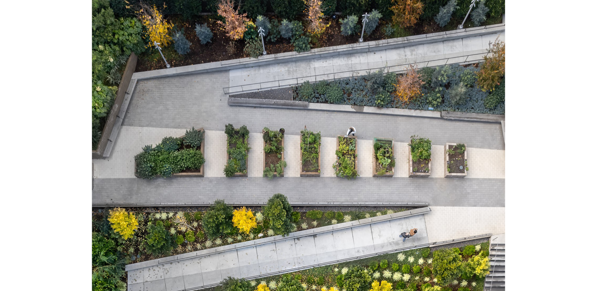 Community Garden