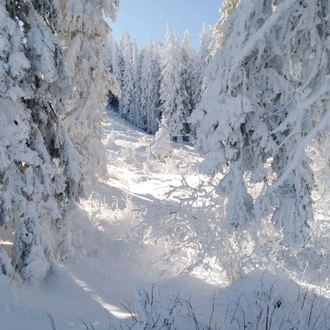 tourhub | Visit Bulgaria On | Private 2-day Trip with Snowshoes 