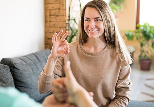 Représentation de la formation : Langue des signes LSF - Professionnel 10h