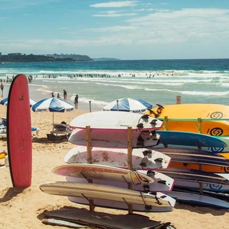 tourhub | G Adventures | Australia and New Zealand: Surf Camps & Kiwi Highlights 