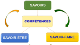 Représentation de la formation : LES REGLES PROFESSIONNELLES "Savoir être au savoir - faire"