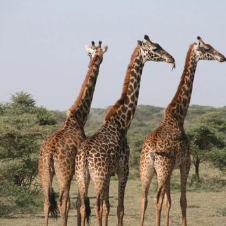 tourhub | Beach and Safari Holidays | Ngorongoro Adventure and Serengeti 