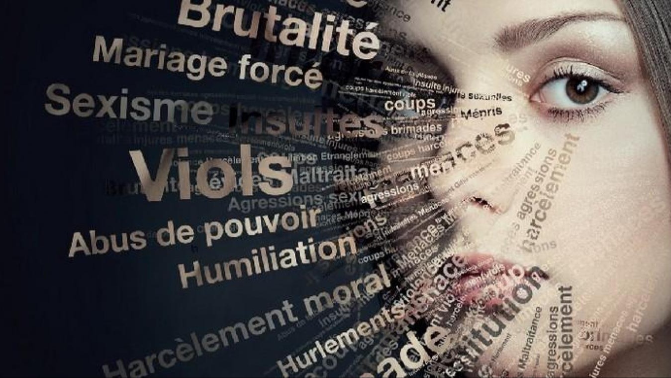 Représentation de la formation : Gestion de la violence en MAS et en FAM