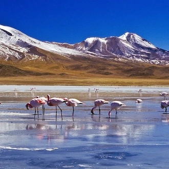 tourhub | Signature DMC | 6-Days Discovering 2 of the World's Largest Salt Flats, Atacama & Uyuni  