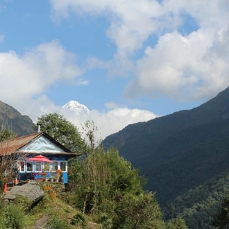 tourhub | Tweet World Travel | Scenic Easy Hike In The Foothills Of The Himalayas 