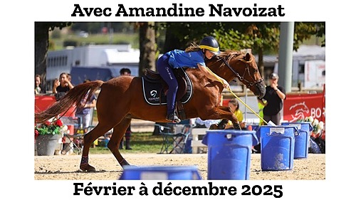 Représentation de la formation : Brevet Federal D'entraîneur Sports Equestres BFESE Pony games - 2025