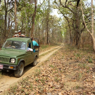 tourhub | Peregrine Treks and Tours | Chitwan Jungle Safari 3 nights 4 days 