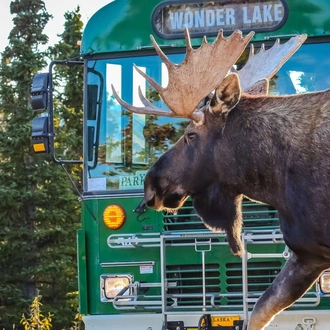 tourhub | Explore! | Outdoor Alaska 