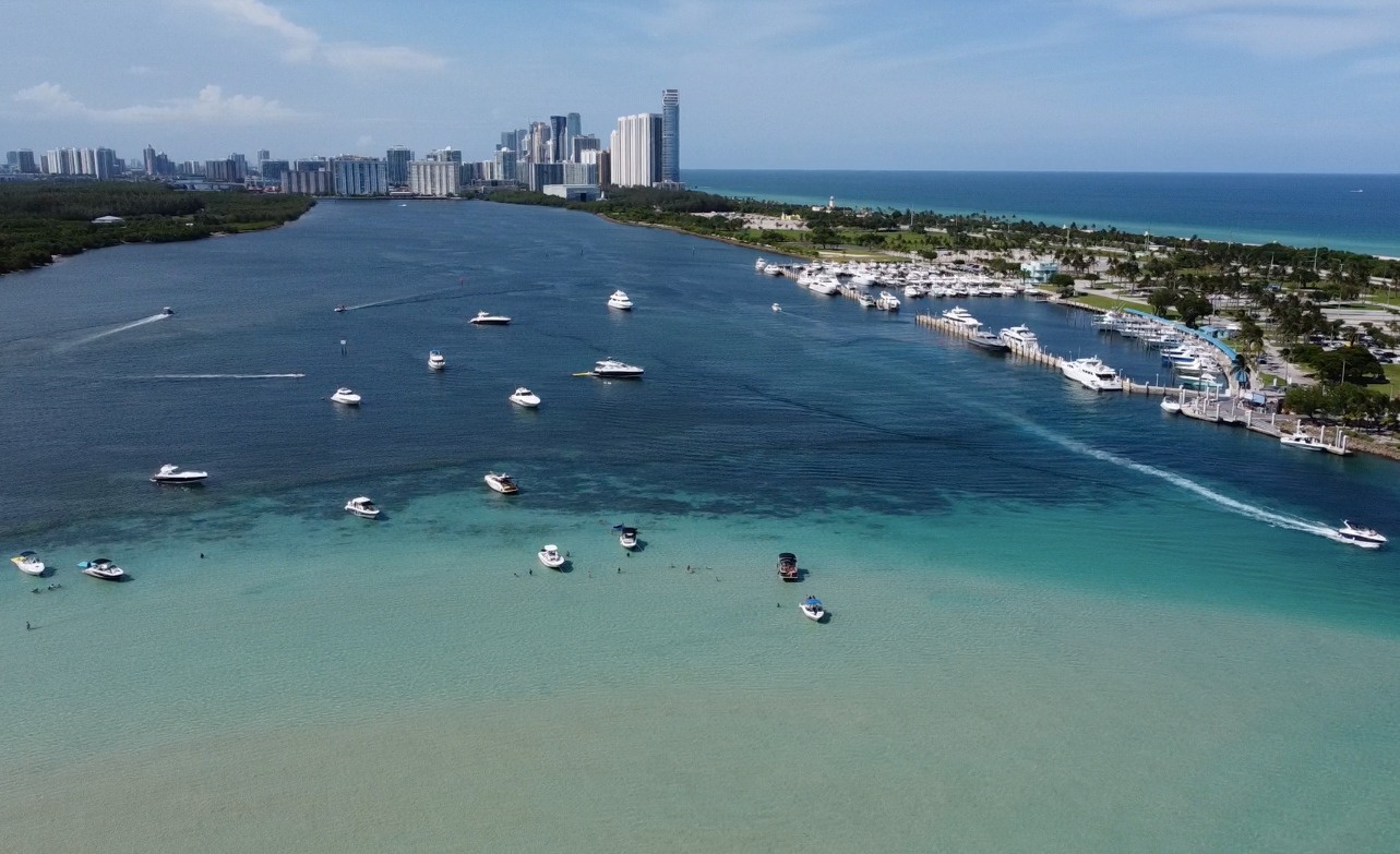 Haulover Sandbar Tour