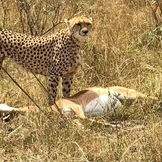 tourhub | Gracepatt Ecotours Kenya | 7 Days Breathtaking Kenya Wildlife Private Safari  