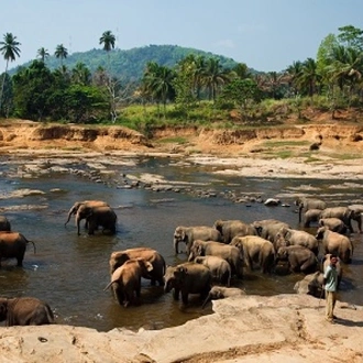 tourhub | Tweet World Travel | AMAZING SRI LANKA ON BIKE 