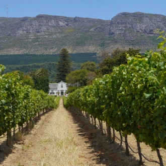 tourhub | Today Voyages | Art and Wine in Cape Town, Private tour 