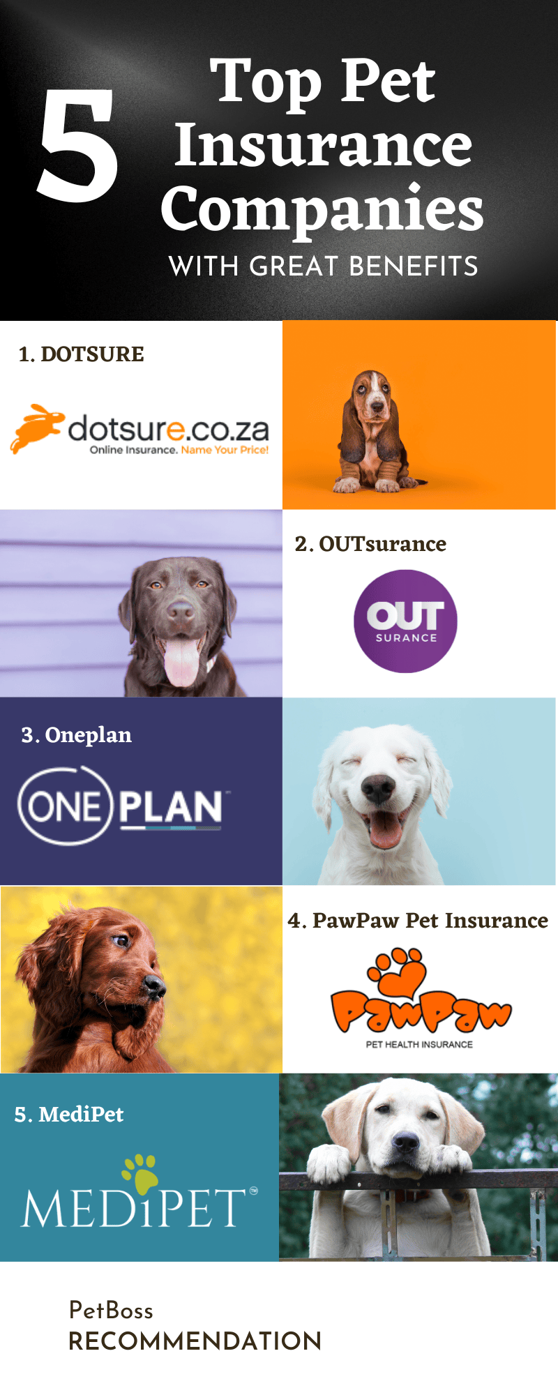 6 Steps On How To Get Pet Insurance: Comprehensive Guide