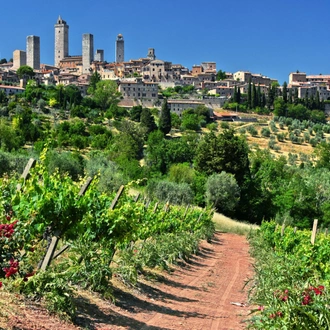 tourhub | Exodus Adventure Travels | Classic Chianti Cycling 