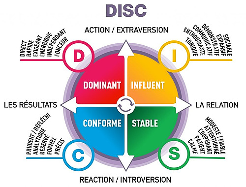 Représentation de la formation : 3-Formation DISC 