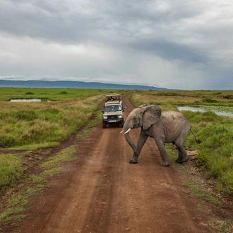 tourhub | G Adventures | Kenya to Zimbabwe Overland Safari 