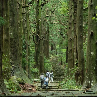 tourhub | Intrepid Travel | Japan: Koya-san & Kumano Kodo Trek 