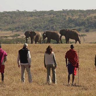 tourhub | Tanzania Wildlife Adventures | Walking Safari in the Ngorongoro Crater | Tour Map