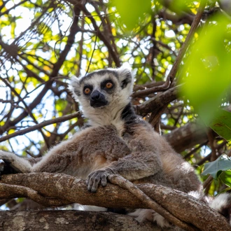 tourhub | Exodus Adventure Travels | Madagascan Discoverer 