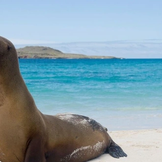 tourhub | Intrepid Travel | Classic Galapagos: Southern Islands (Grand Queen Beatriz) 