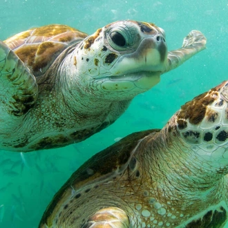 tourhub | Explore! | Galapagos - Central, North, South and East Islands aboard the Archipel I 