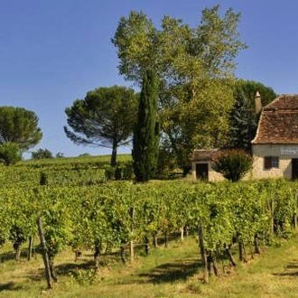 tourhub | UTracks | Highlights of the Dordogne by Bike 