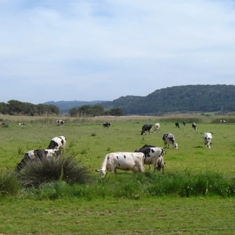 tourhub | Travel Editions | Walking in Menorca Tour 