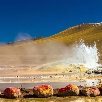 tourhub | Bamba Travel | Uyuni Salt Flats & Desert Adventure 4D/3N (Atacama to La Paz) 