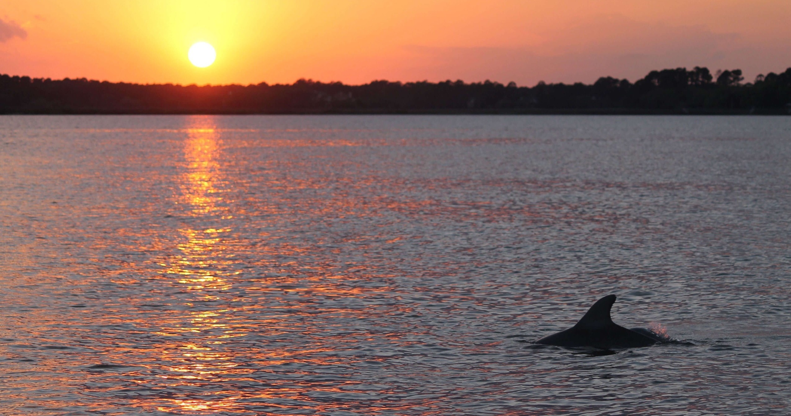 Sunset Cruise on Hilton Head