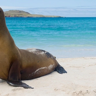 tourhub | Intrepid Travel | Galapagos Island Hopping 