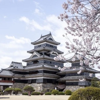 tourhub | Tweet World Travel | Japan Cherry Blossom Tour: Cherry Blossom Viewing In Japan 