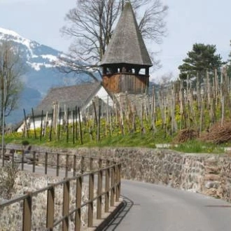 tourhub | UTracks | Alpine Rhine Cycle 