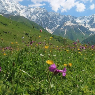 tourhub | Explore! | Hiking in the Georgian Caucasus 