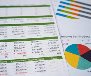 Représentation de la formation : EXCEL : LES FONCTIONS DE BASE