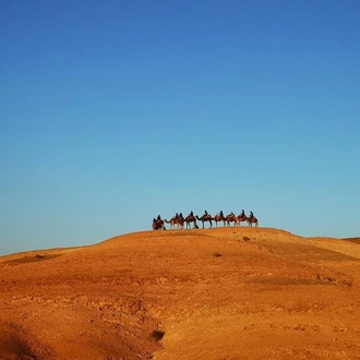 tourhub | Encounters Travel | Morocco Express 2025 