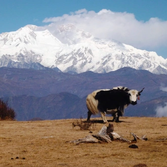 tourhub | Exodus Adventure Travels | Darjeeling, Sikkim & the Singalila Ridge 