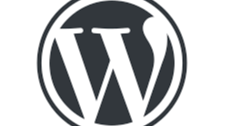 Représentation de la formation : WordPress débutant 26h - Individuel