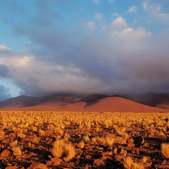 tourhub | Unu Raymi Tour Operator & Lodges | Llullaillaco Volcano Climb 