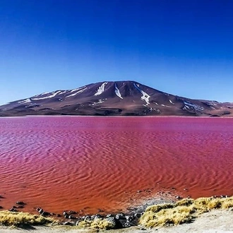 tourhub | Bamba Travel | Uyuni Salt Flats & Desert Adventure 4D/3N (Atacama to Atacama) 