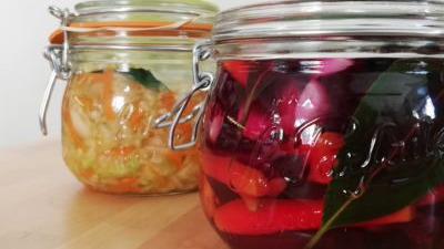 Représentation de la formation : Initiation à la lactofermentation