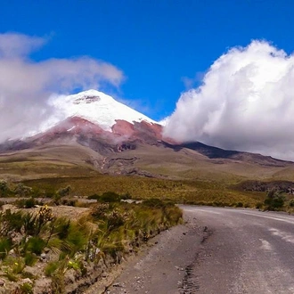 tourhub | G Adventures | Highlands of Ecuador 