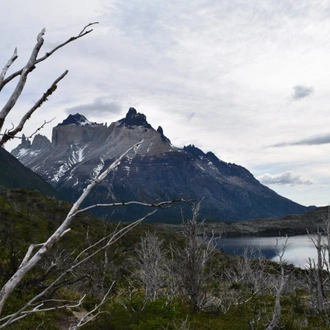 tourhub | Unu Raymi Tour Operator & Lodges | Patagonia: Torres del Paine ‘O’ Trek – 8 Days 