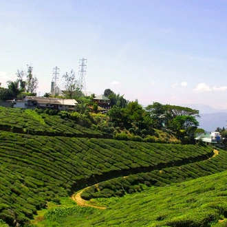 tourhub | Explore! | Kerala Backwaters 