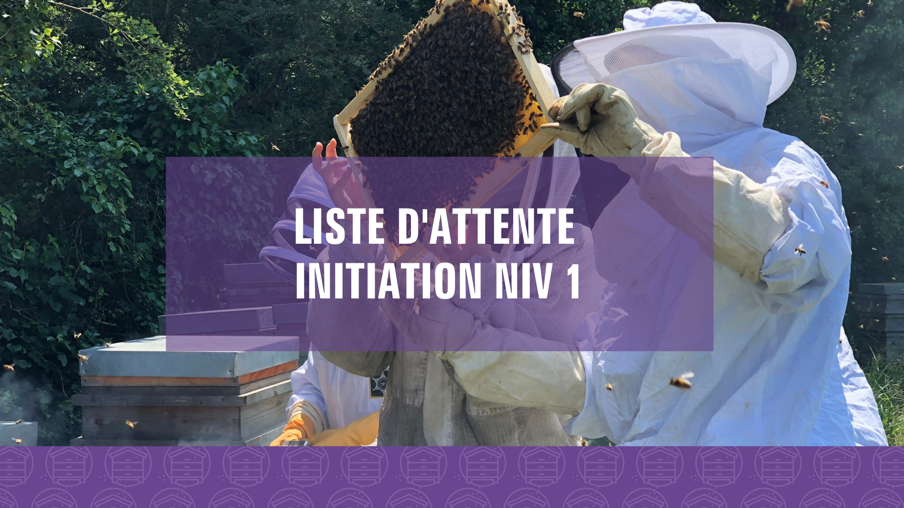 Représentation de la formation : Initiation à l'apiculture (Niveau 1) (Liste d'attente)