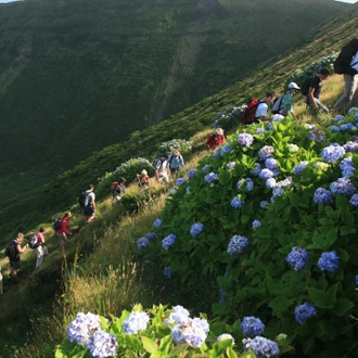 tourhub | Exodus Adventure Travels | Walking in the Azores 