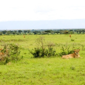 tourhub | Avens Travel World (ATW Holidays Africa) | Uganda Community, Culture and Wildlife Tour 