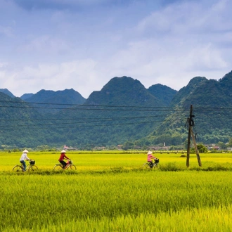 tourhub | Today Voyages | Cycling along Vietnam’s red river delta 