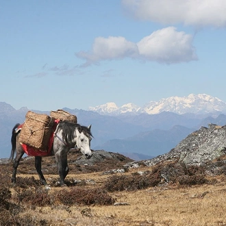 tourhub | Bhutan Acorn Tours & Travel | Bhutan Dagala Thousand Lakes Trek 