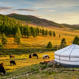 tourhub | Wendy Wu | Mongolia & Naadam Festival Reversed 